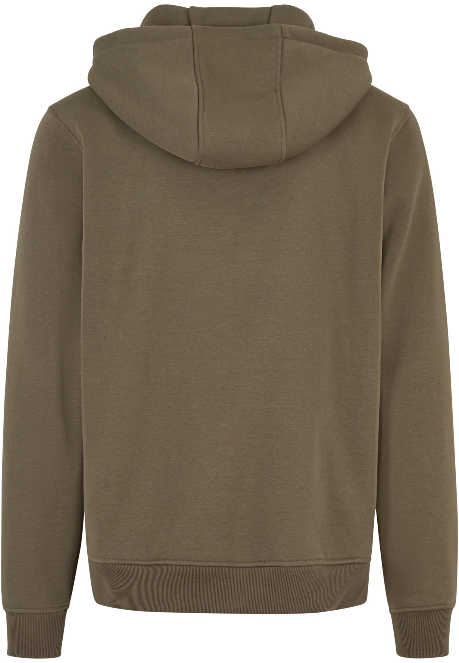 Basic Hoody olive | olive