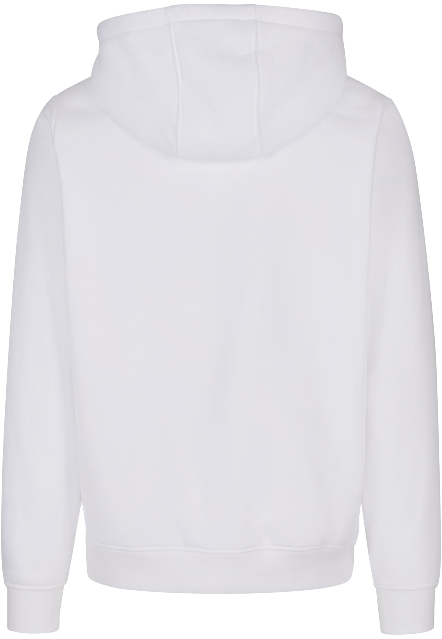 Basic Hoody white | white