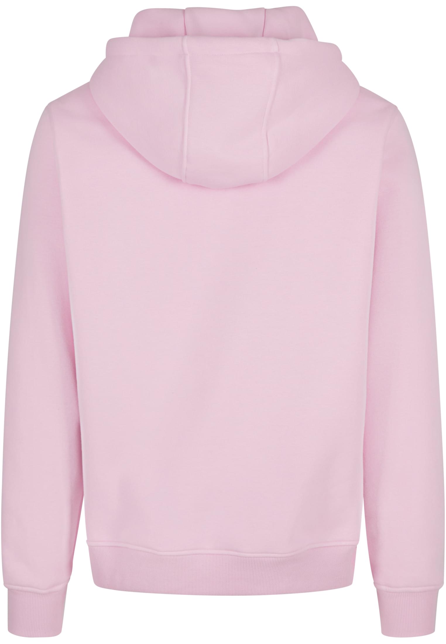 Basic Hoody softpink | softpink
