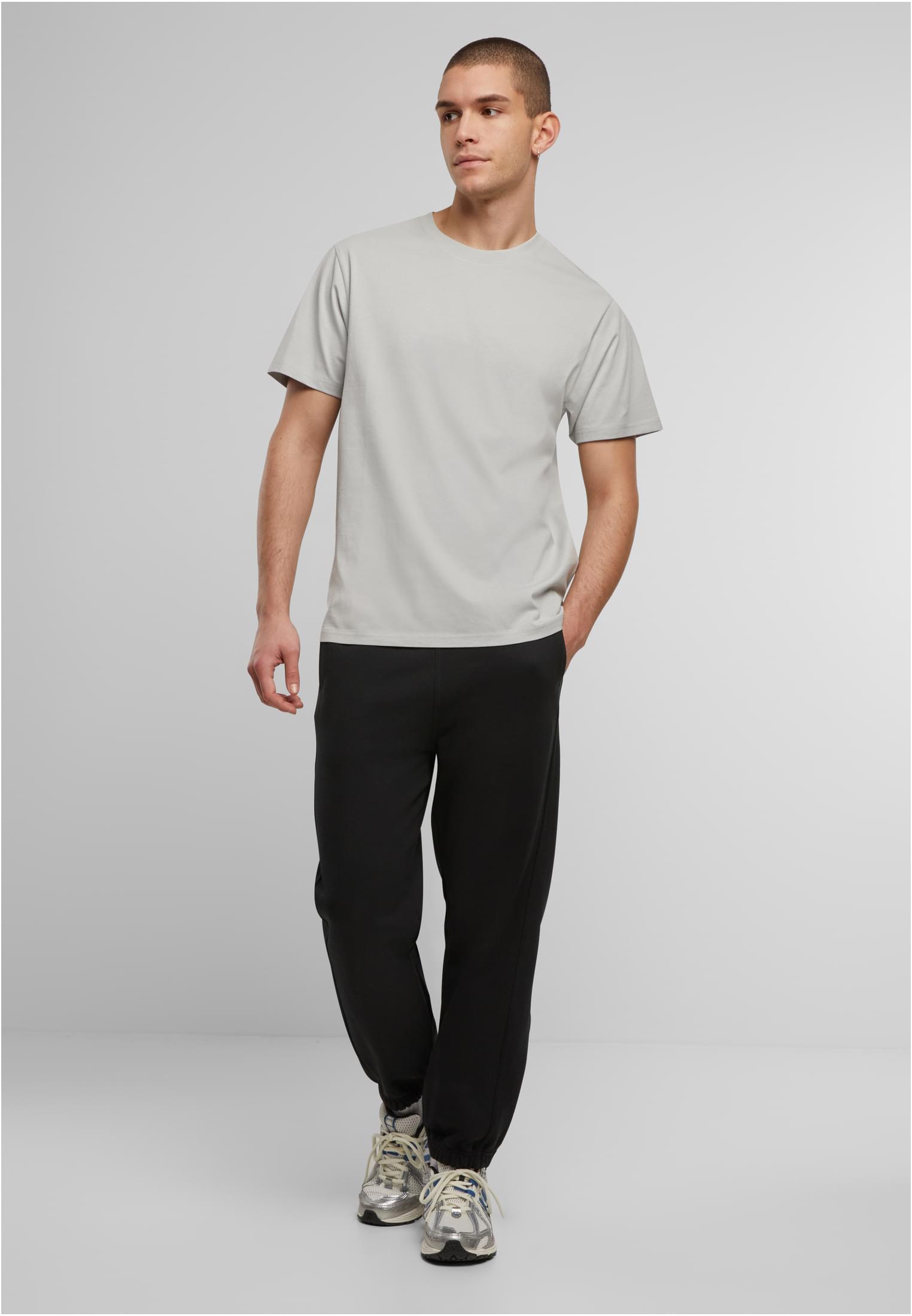 Basic Regular Fit Tee lightasphalt | lightasphalt