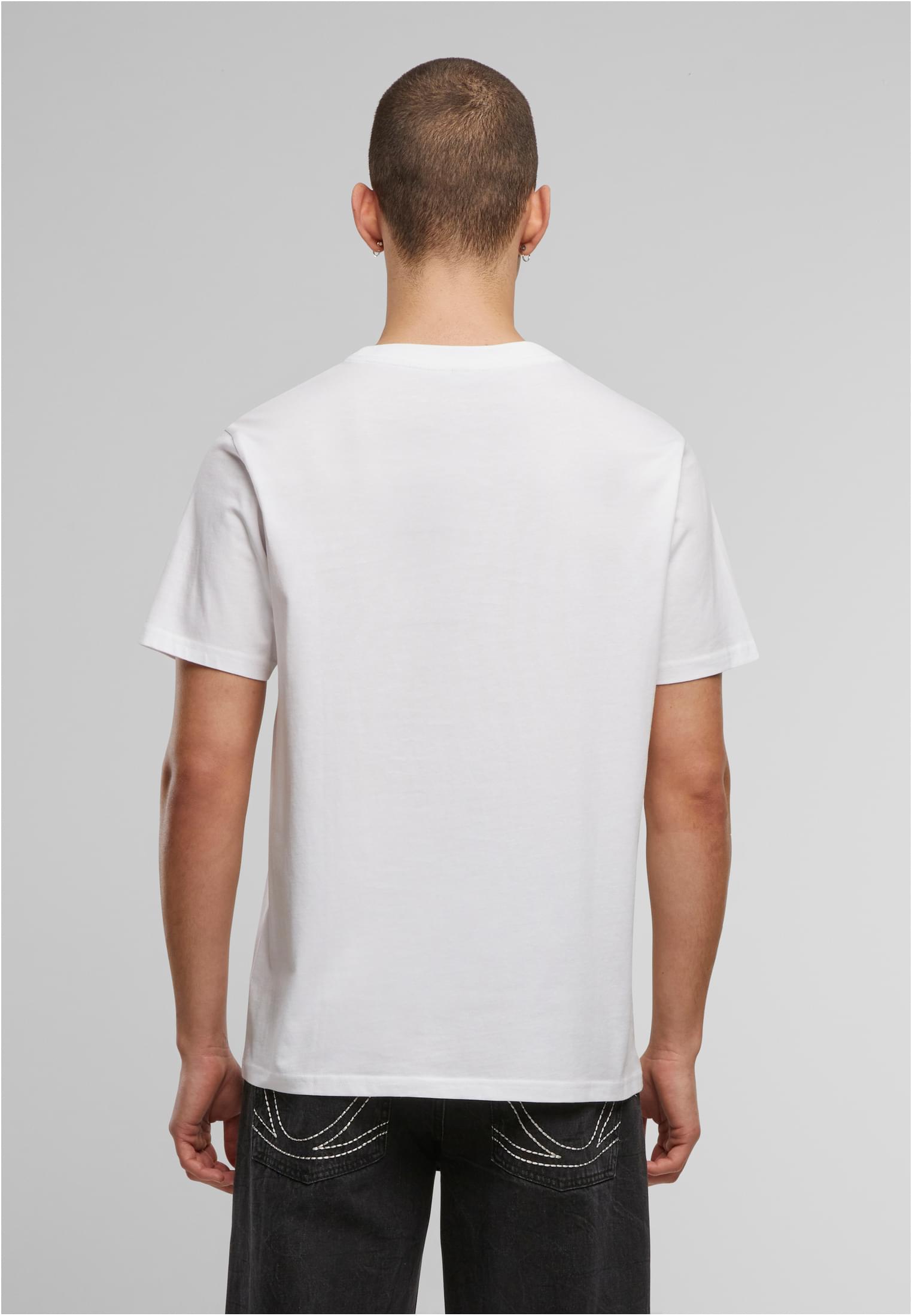 Basic Regular Fit Tee white | white