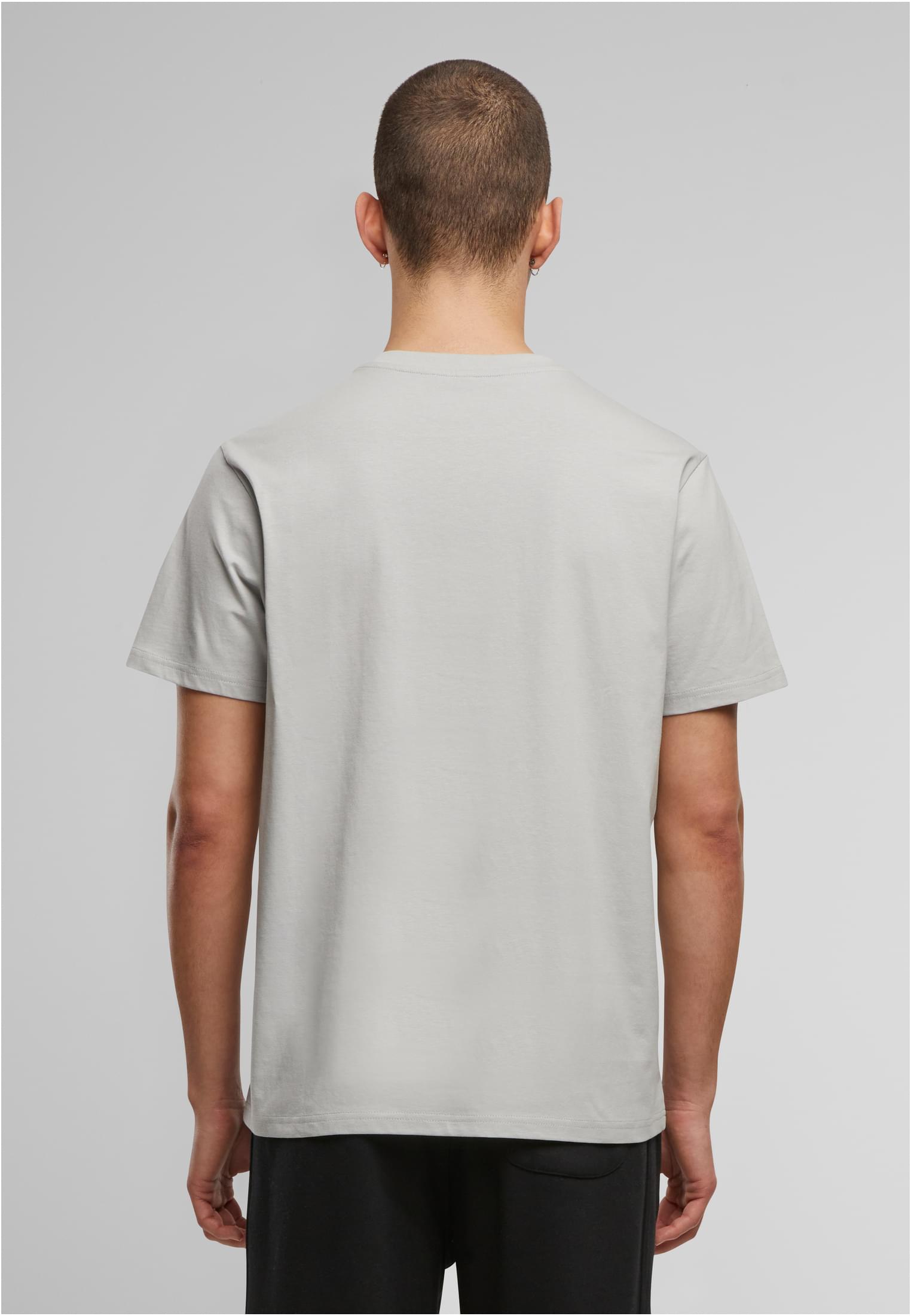 Basic Regular Fit Tee lightasphalt | lightasphalt