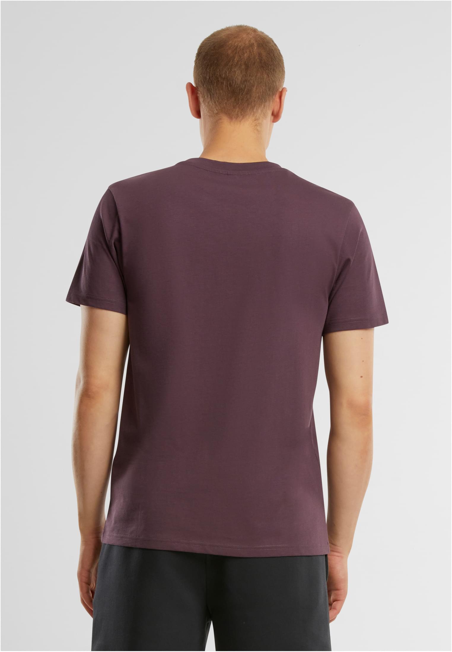 Basic Regular Fit Tee plumpurple | plumpurple
