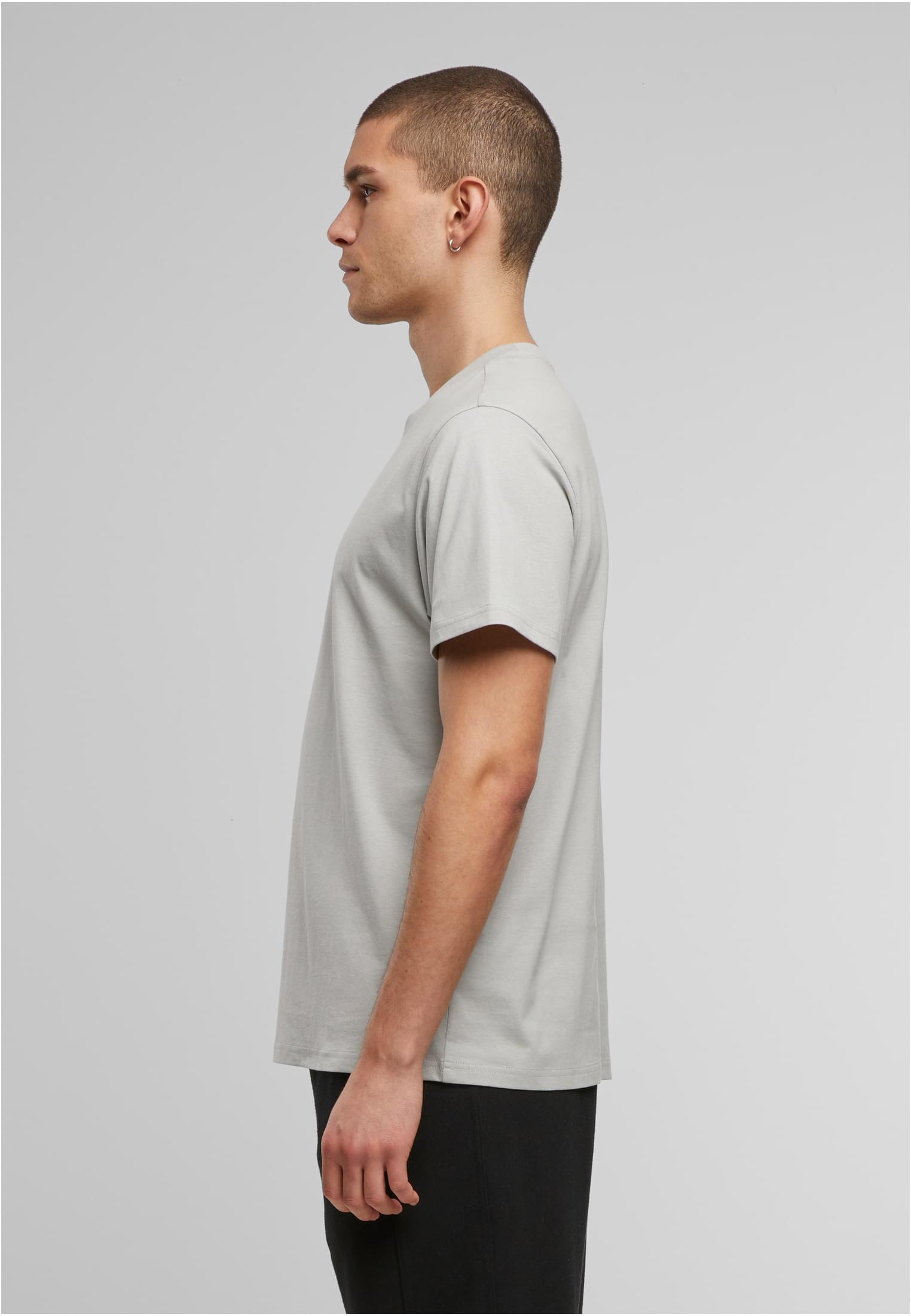 Basic Regular Fit Tee lightasphalt | lightasphalt