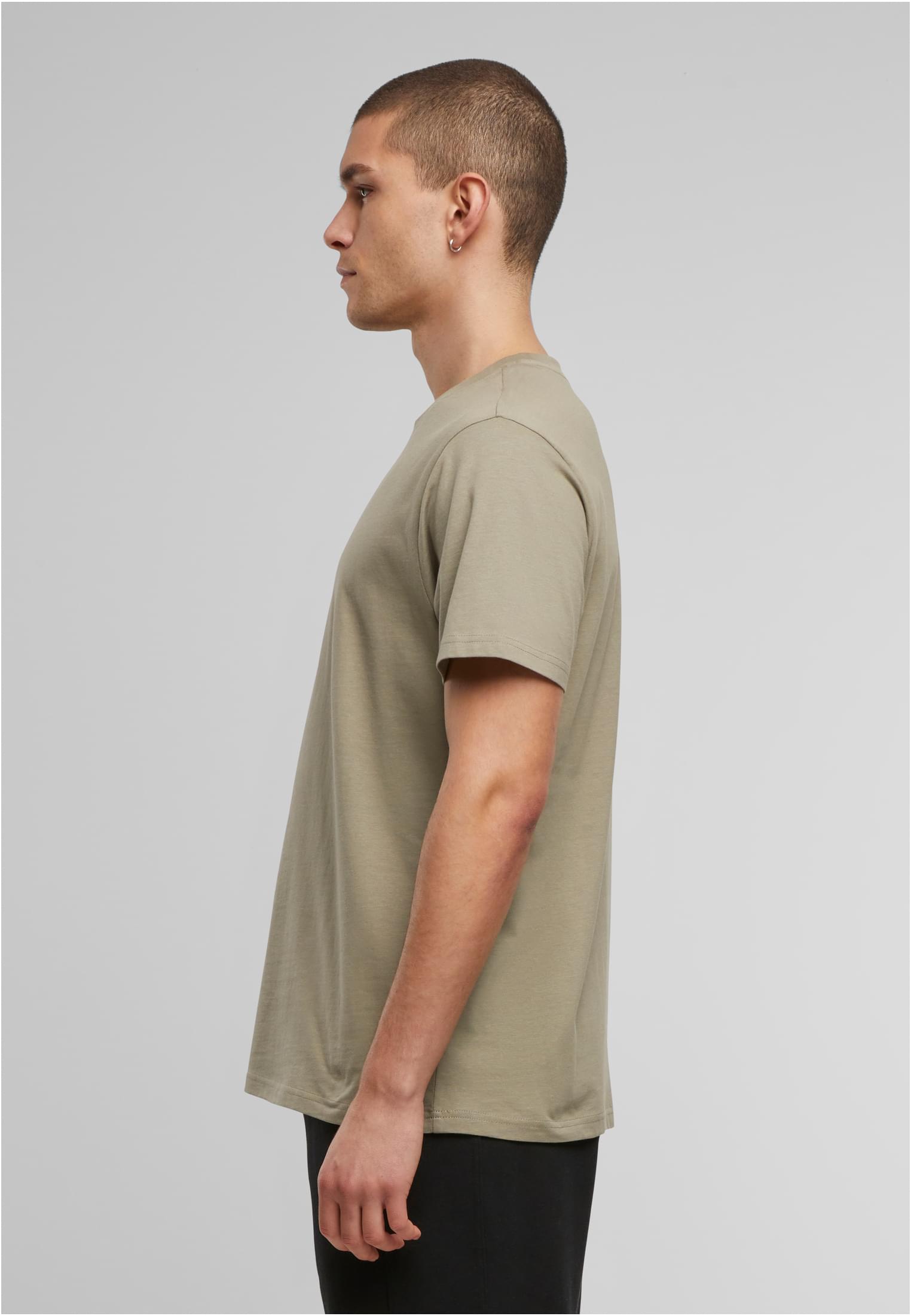Basic Regular Fit Tee paleolive | paleolive