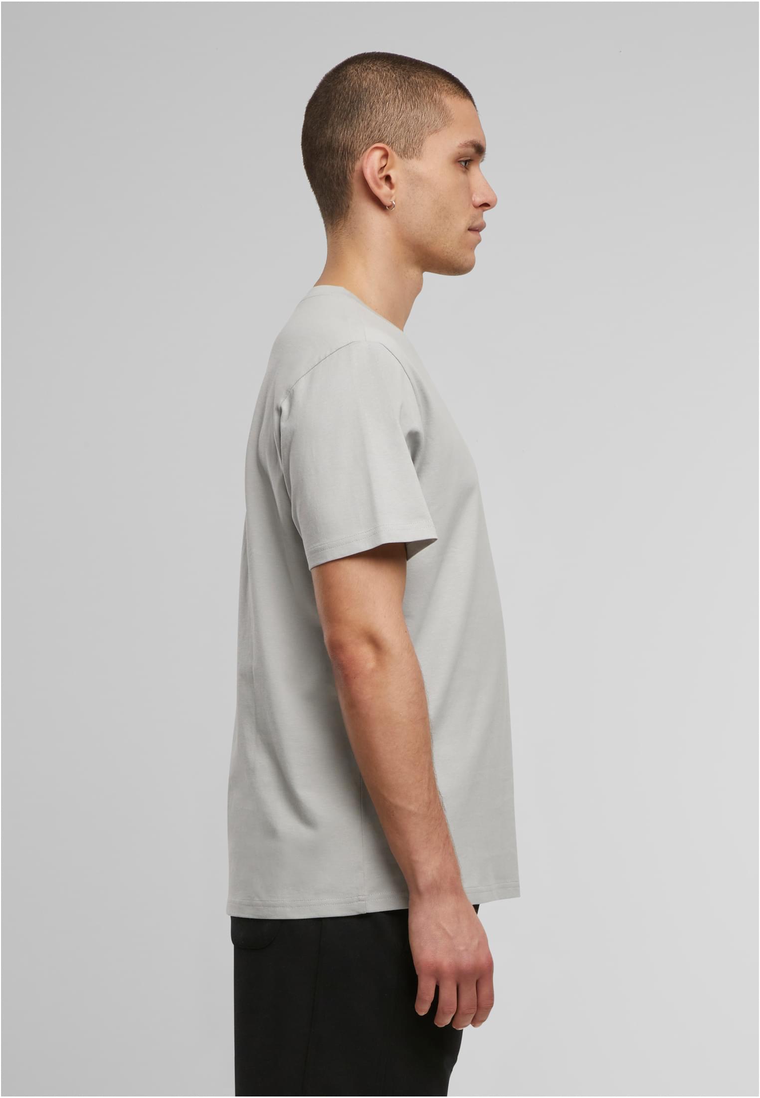 Basic Regular Fit Tee lightasphalt | lightasphalt