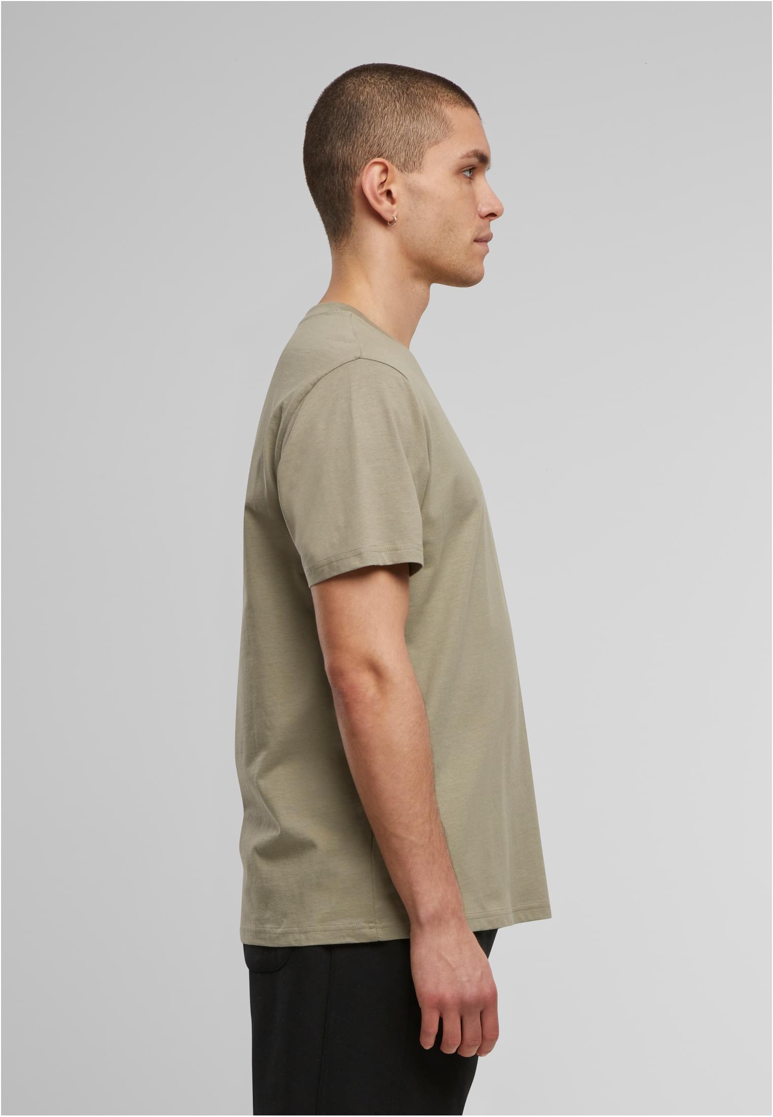 Basic Regular Fit Tee paleolive | paleolive