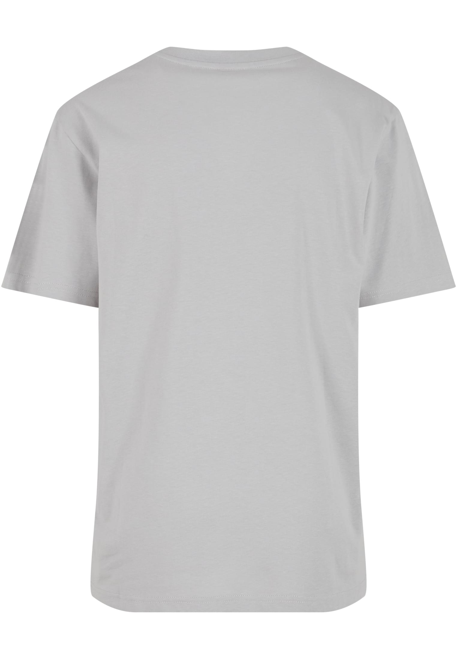 Basic Regular Fit Tee lightasphalt | lightasphalt