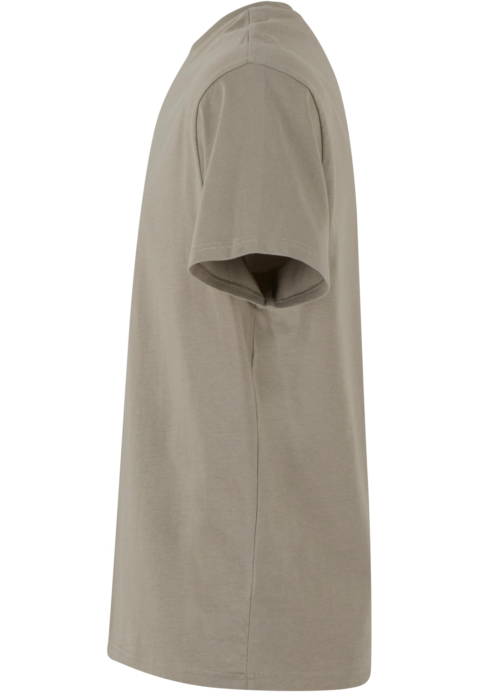 Basic Regular Fit Tee paleolive | paleolive