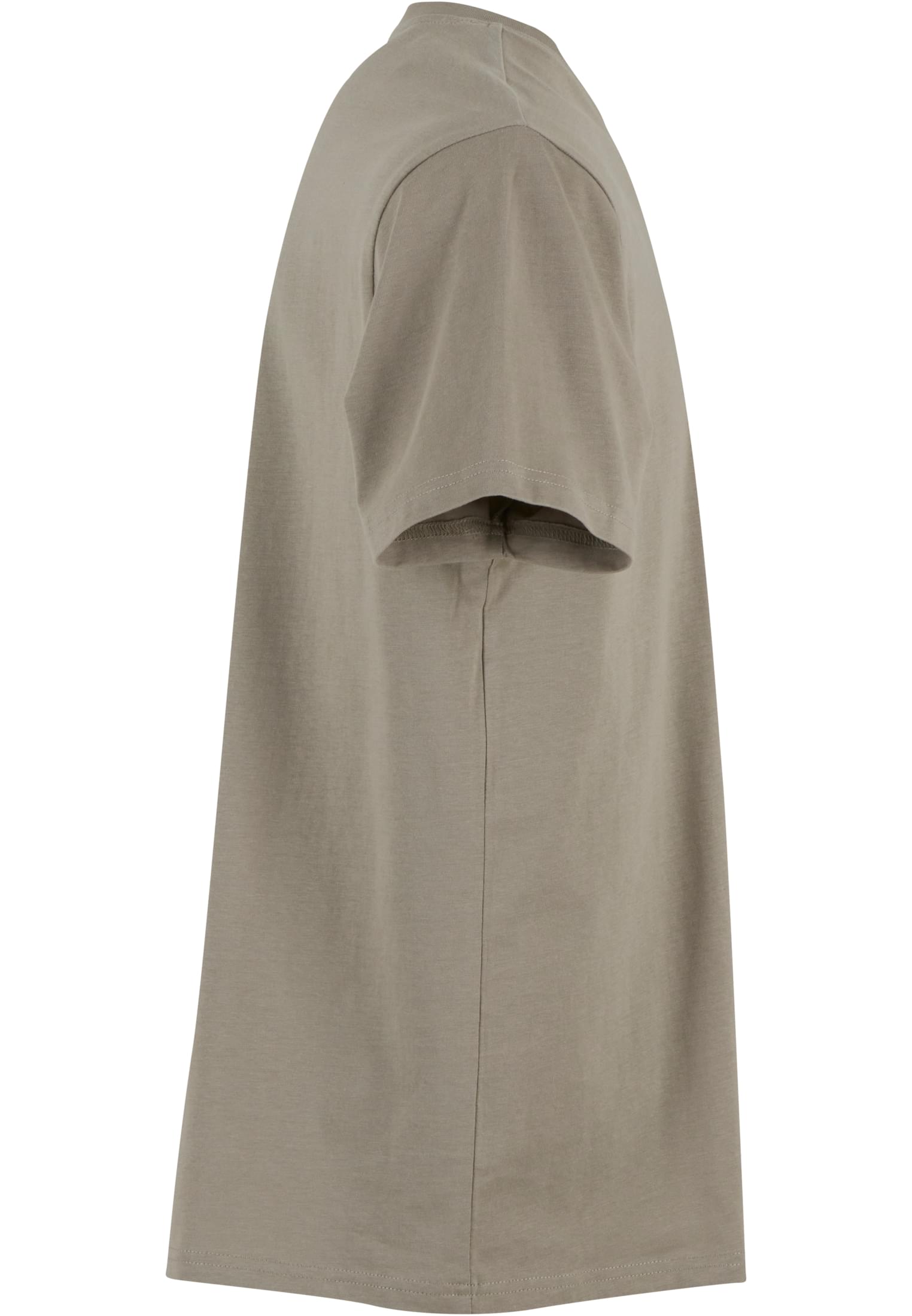 Basic Regular Fit Tee paleolive | paleolive