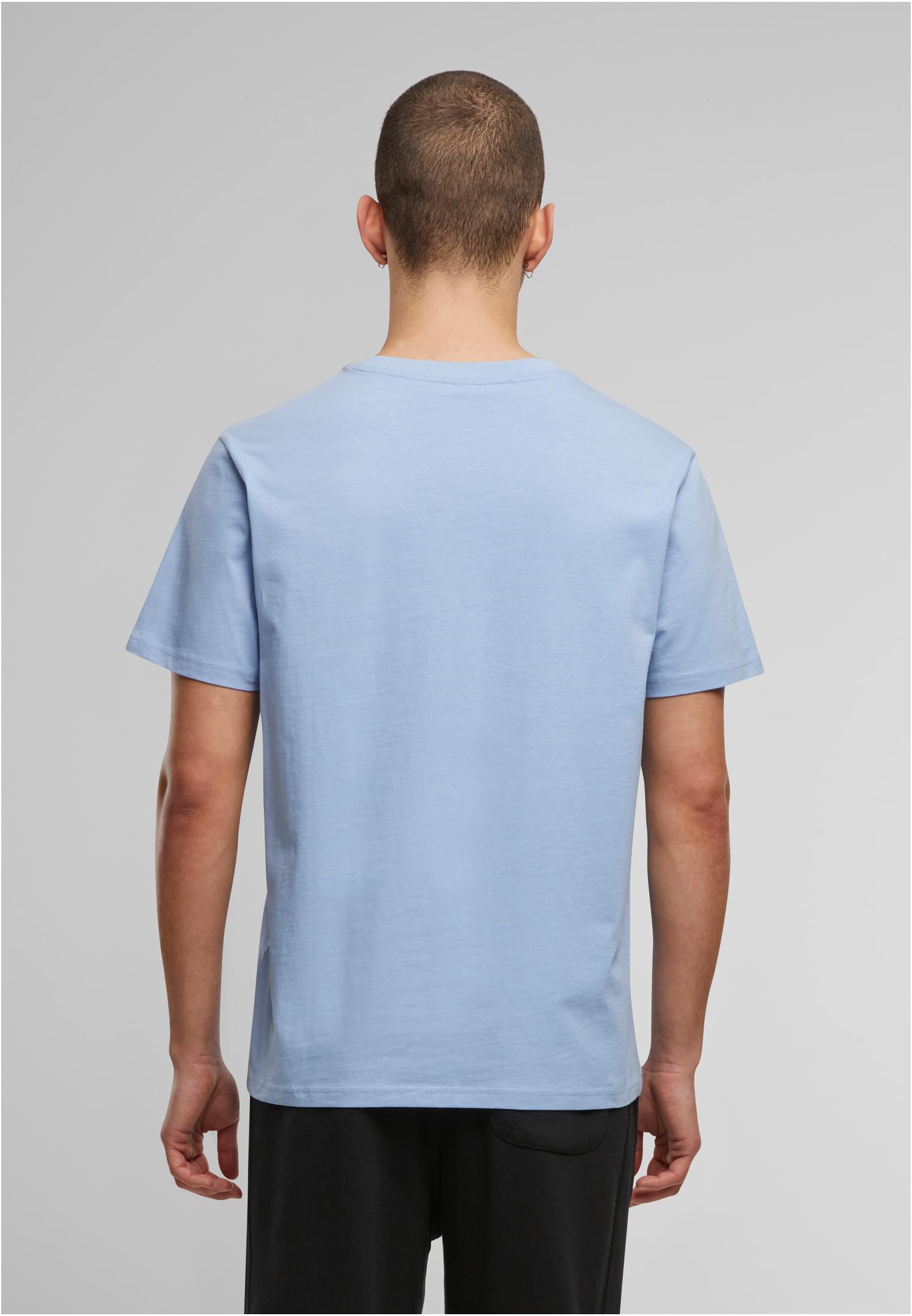 Basic Regular Fit Tee powderblue | powderblue