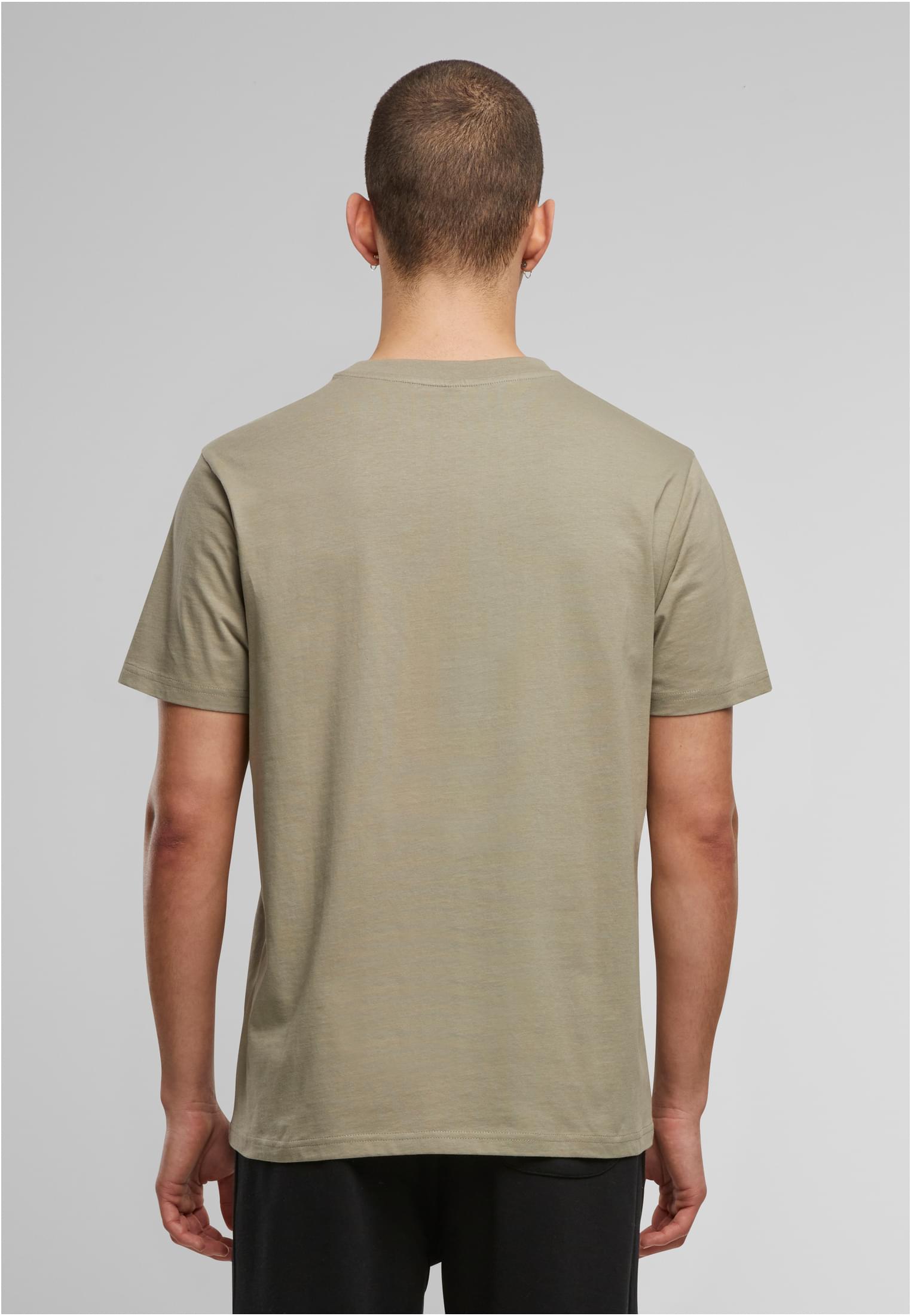Basic Regular Fit Tee paleolive | paleolive