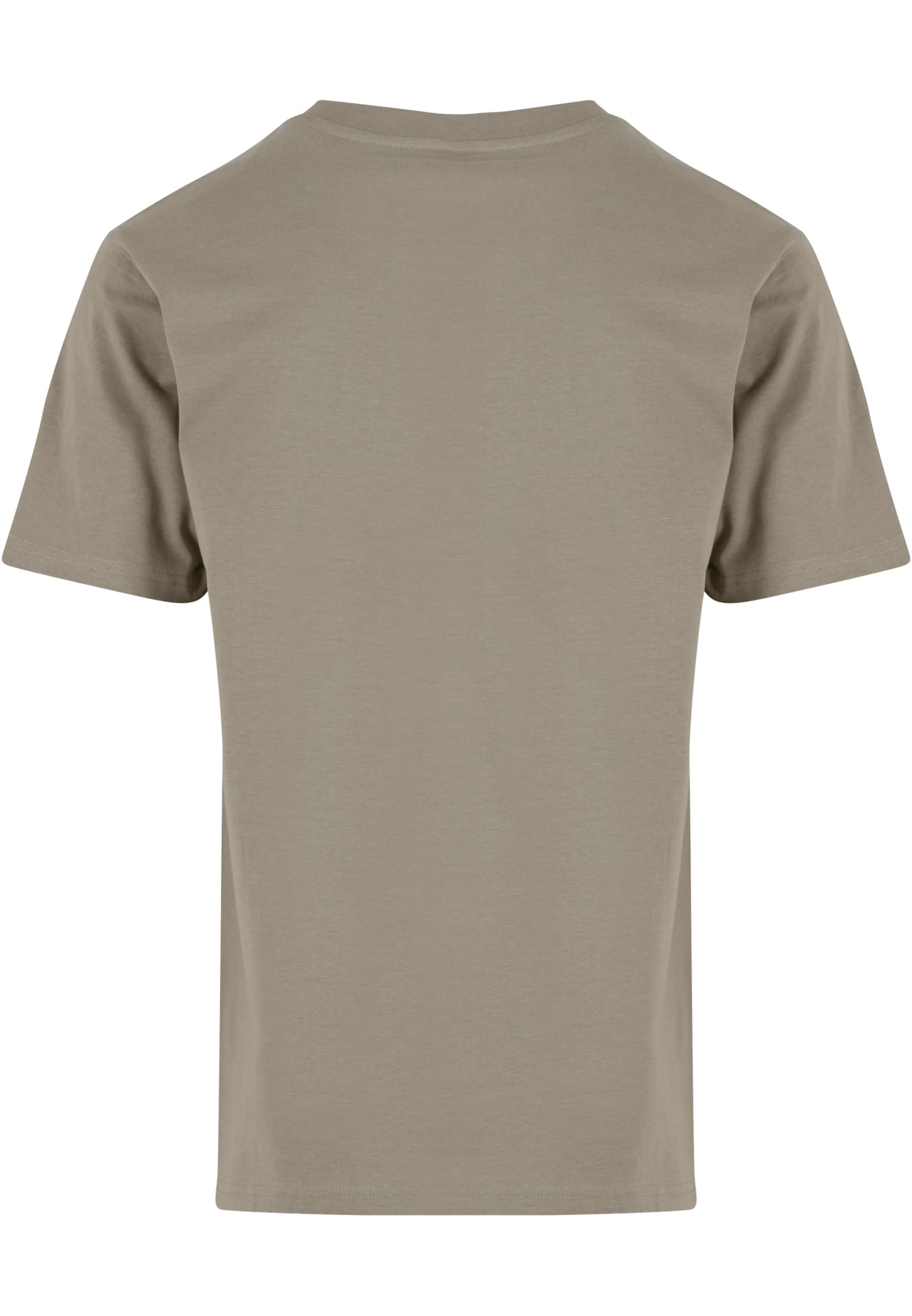 Basic Regular Fit Tee paleolive | paleolive